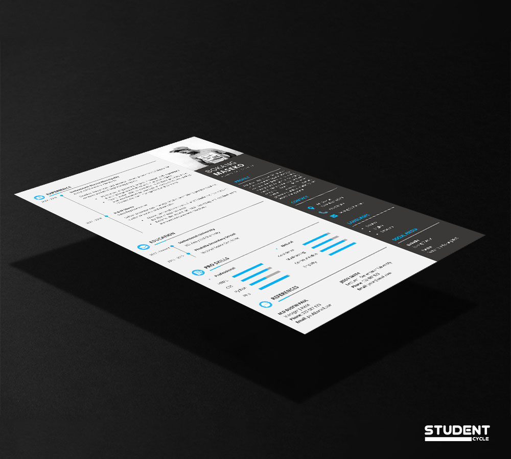 Analytical Chemist CV Design Preview 2 - Student Cycle